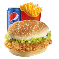 chicken burger combo