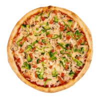veg pizza